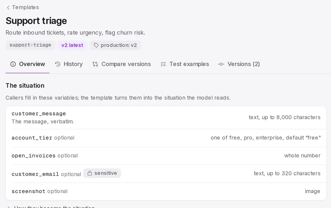 A template with its variables, versions and tabs for history and test examples